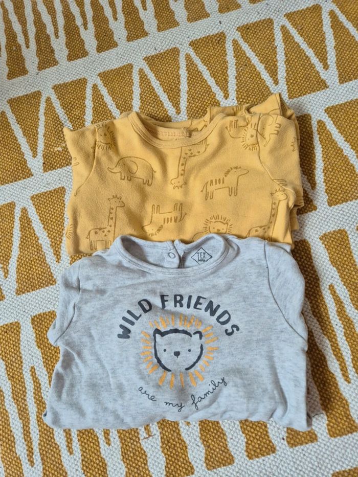 Lot de 2 pyjamas Tex Baby