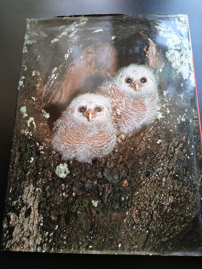 Livre La passion des oiseaux - photo numéro 6
