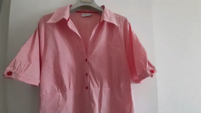 Chemisier tout mignon Taille 46 - photo numéro 2