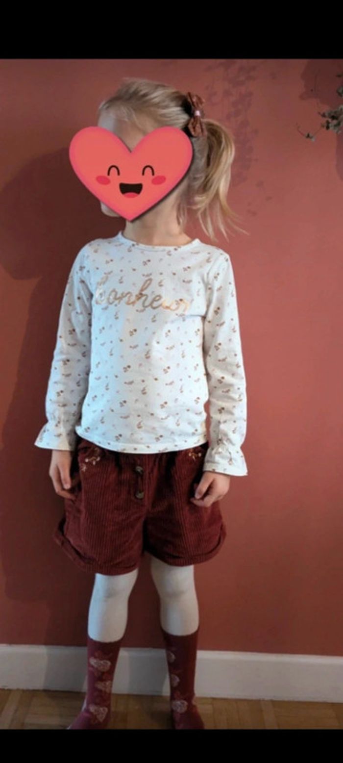 Ensemble lion perché
