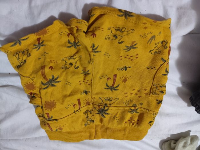 Short Disney 18 mois - photo numéro 2