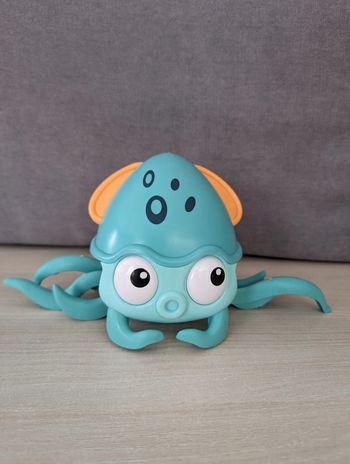 Pieuvre Octopus