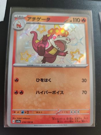 Pokémon crocalor shiny sv4a