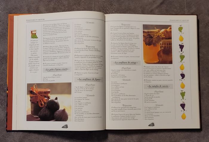 Au Temps Des Vendanges. Prenez Le Temps De Vivre L'Automne Aurélie Morain-Fiorentino, Hélène Lafarie - photo numéro 6