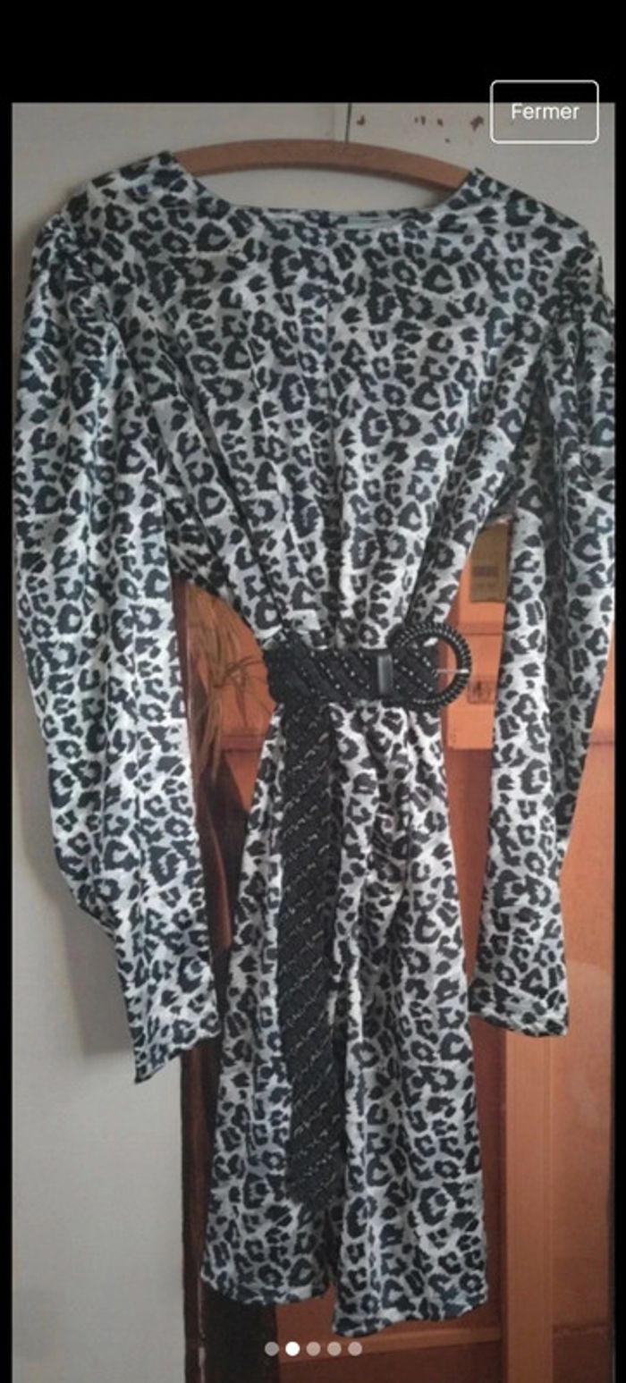 Robe mi saison (50/52) - photo numéro 2