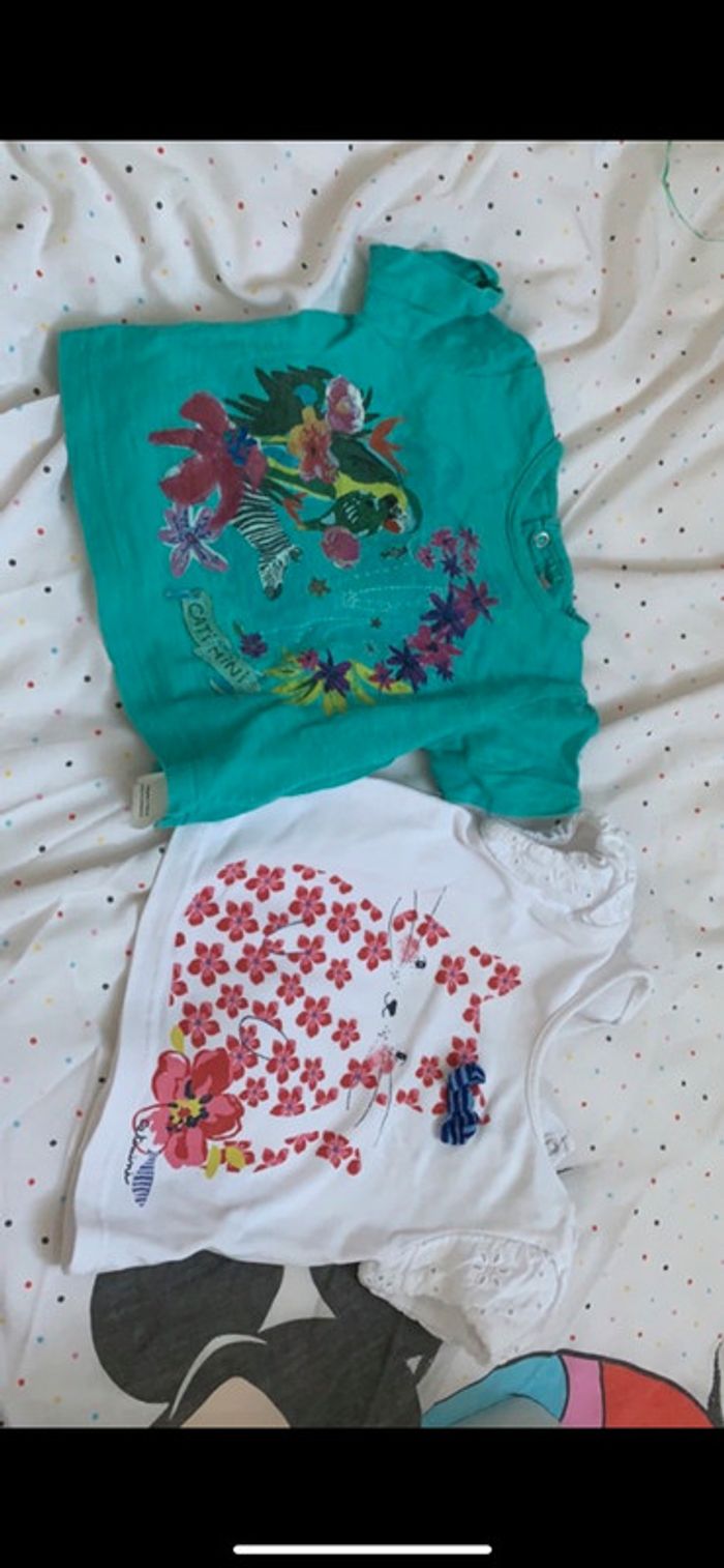 2 tee shirts Catimini 6 mois