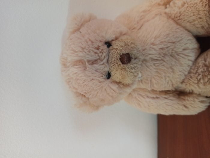 ourson calin histoire d'ours - photo numéro 2