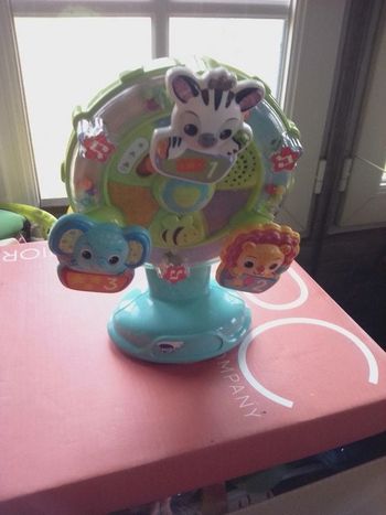 La grande roue des baby loulous VTech