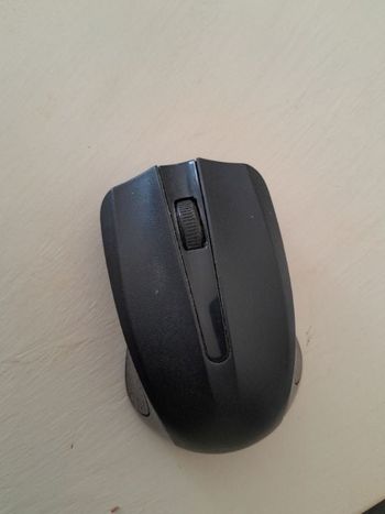 Souris sans fil