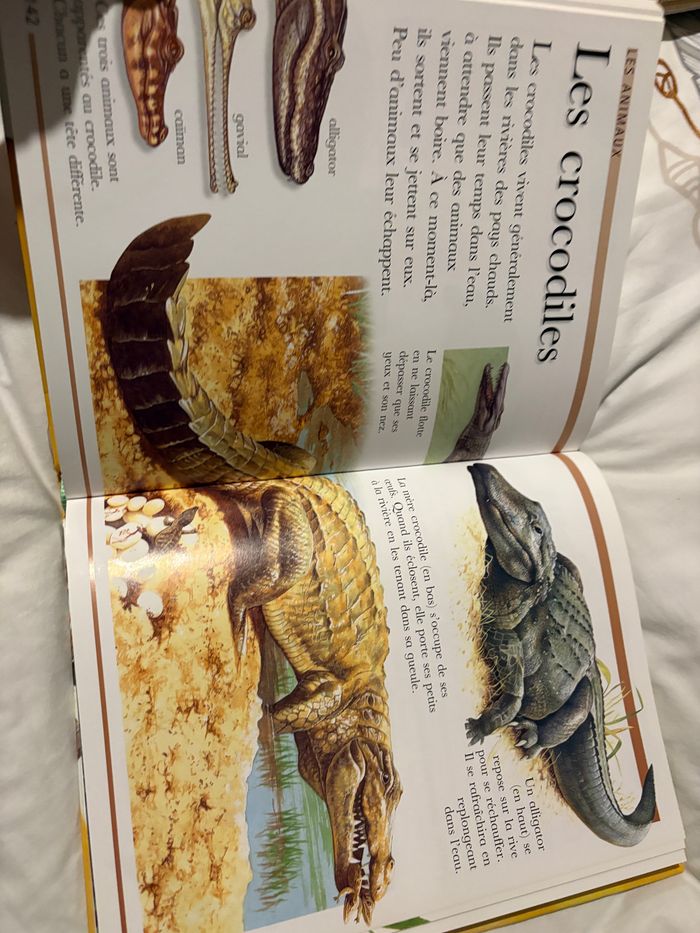 Ma grande encyclopédie 5-8 ans - photo numéro 4