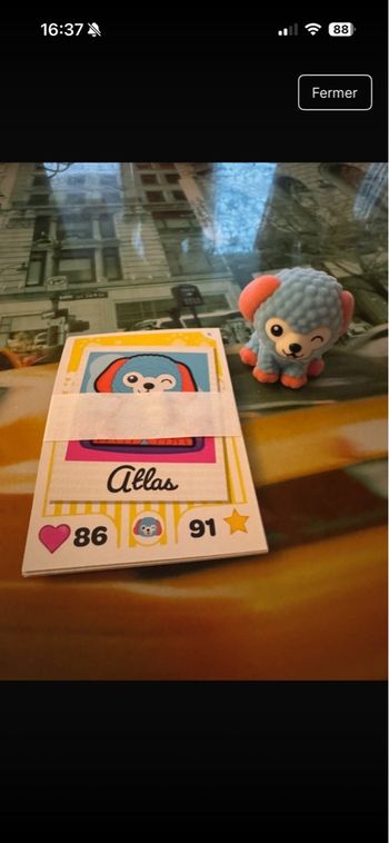 Atlas i love puppies