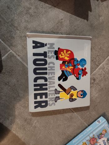Livre : Mes chevaliers a toucher