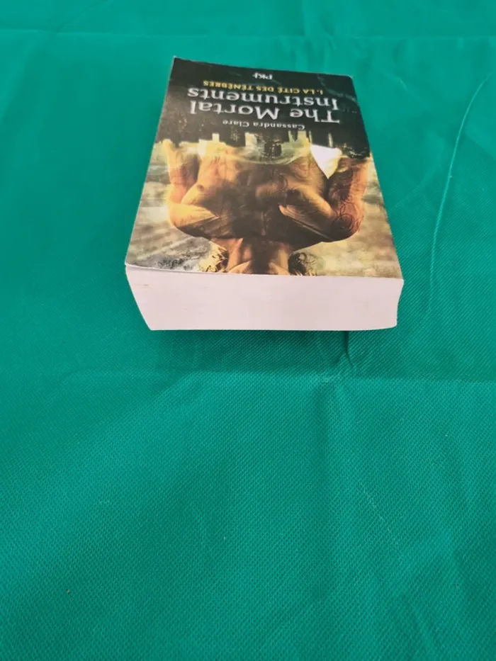 The Mortal Instruments tome 1 La Cité des Ténèbres Cassandra Clare - photo numéro 4