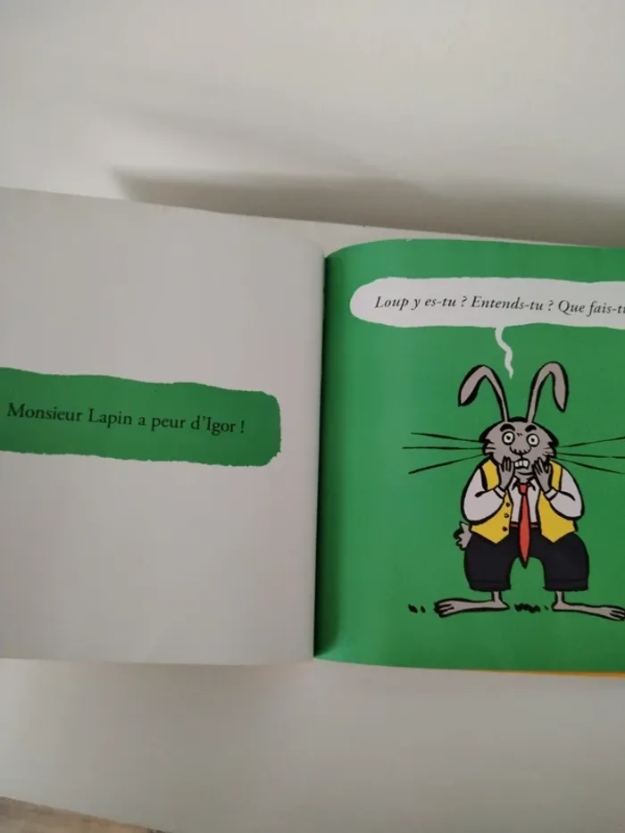 Livre Louyétu ? - photo numéro 7