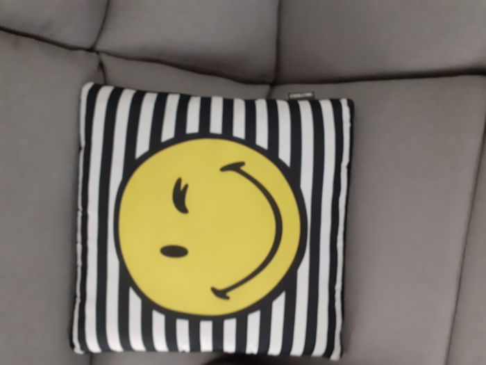 Coussin - photo numéro 2