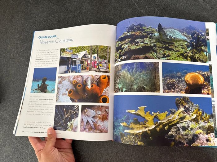 Magnifique -Livre escales aux Caraïbes - Gallimard - très bon état - photo numéro 10