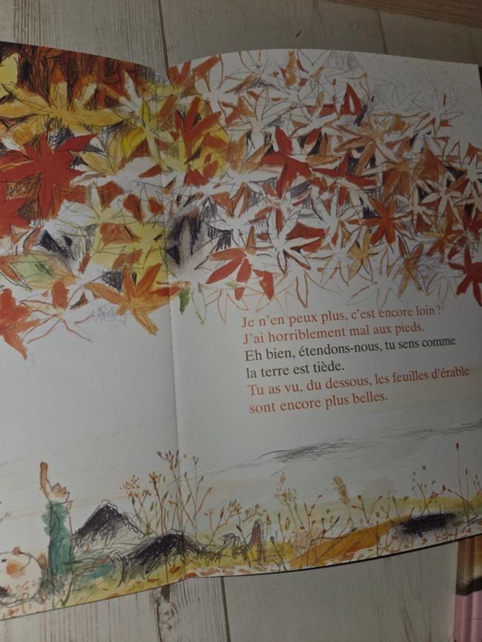 Livre jeunesse "Il neige des couleurs" - photo numéro 4