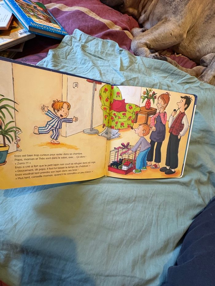 Enzo veut un lapin - photo numéro 3