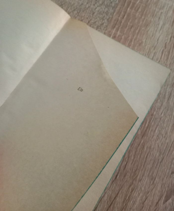 Cronin 🪅 Le chant du paradis - photo numéro 4