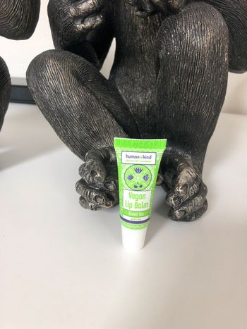 Soins de lèvres Human Kid