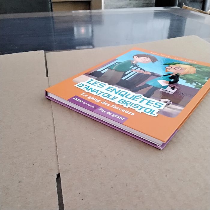 Le gang des farceurs-Les enquêtes d’ Anatole Bristol - photo numéro 5