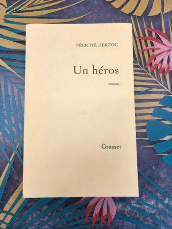 Livre broché "un héros" de Félicité Jerzog