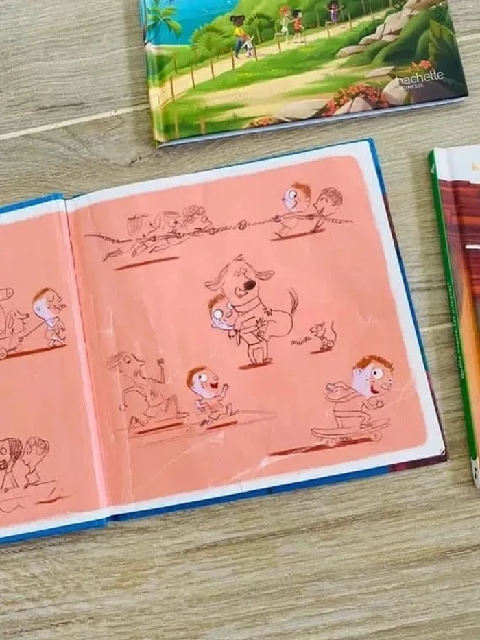 Lot 3 petits livres enfant hachette jeunesse 3 états - photo numéro 3