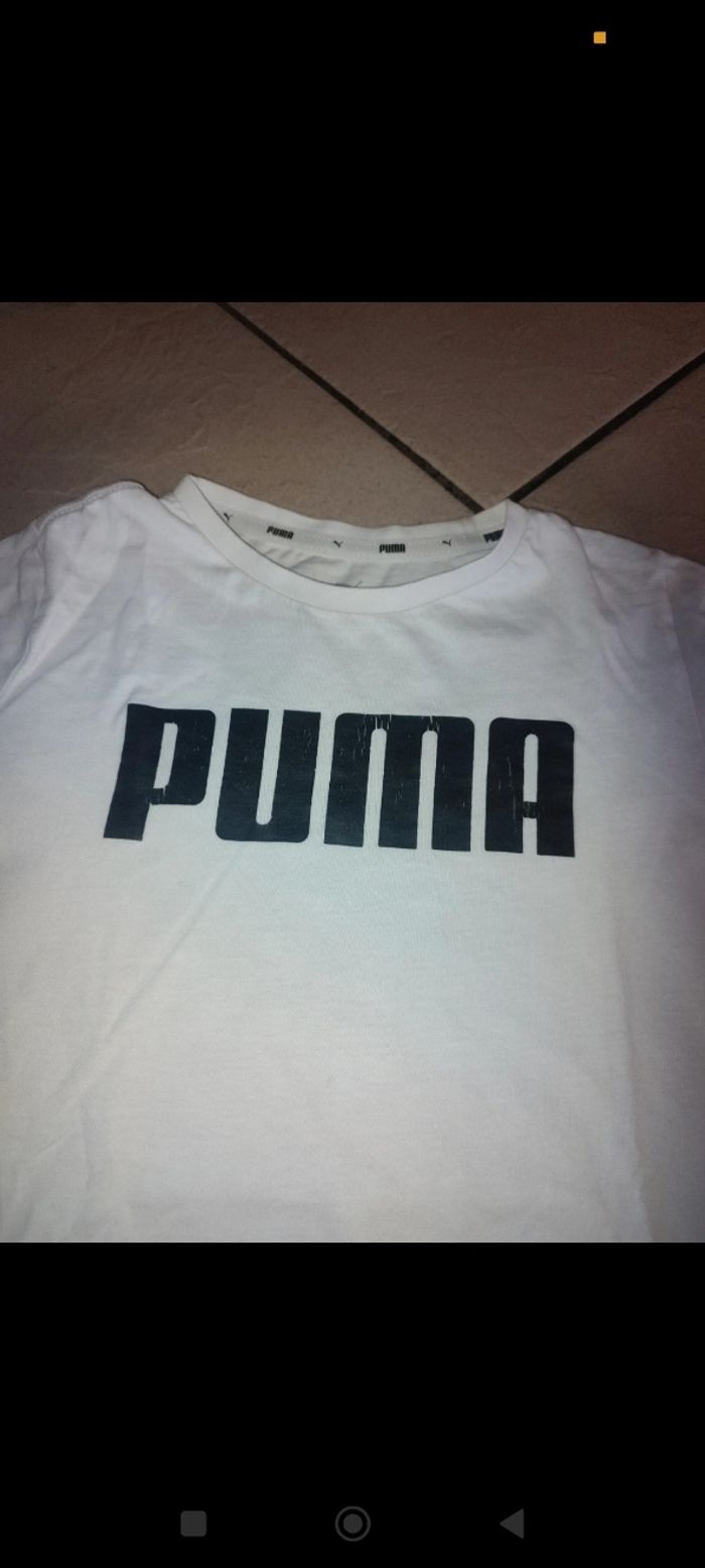 Haut puma - photo numéro 2