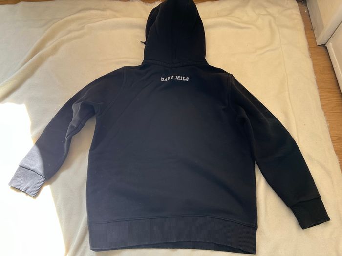 Pull baby Milo 12 ans - photo numéro 4