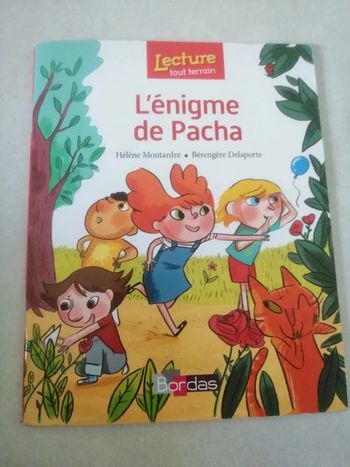 Livre Cp l'énigme de Pacha