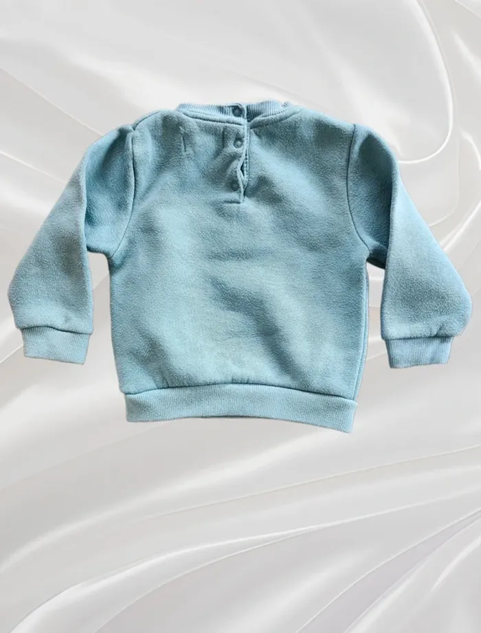 Sweat garçon 12 mois - photo numéro 2