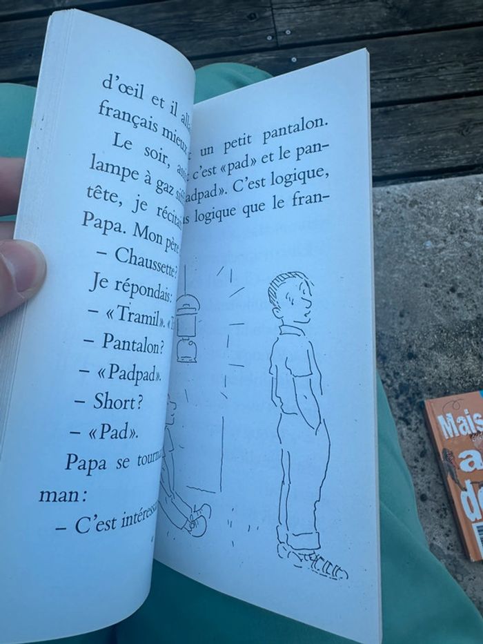 Livre Le Hollandais sans peine Marie-Aude Murail Mouche de l’école des loisirs - photo numéro 6