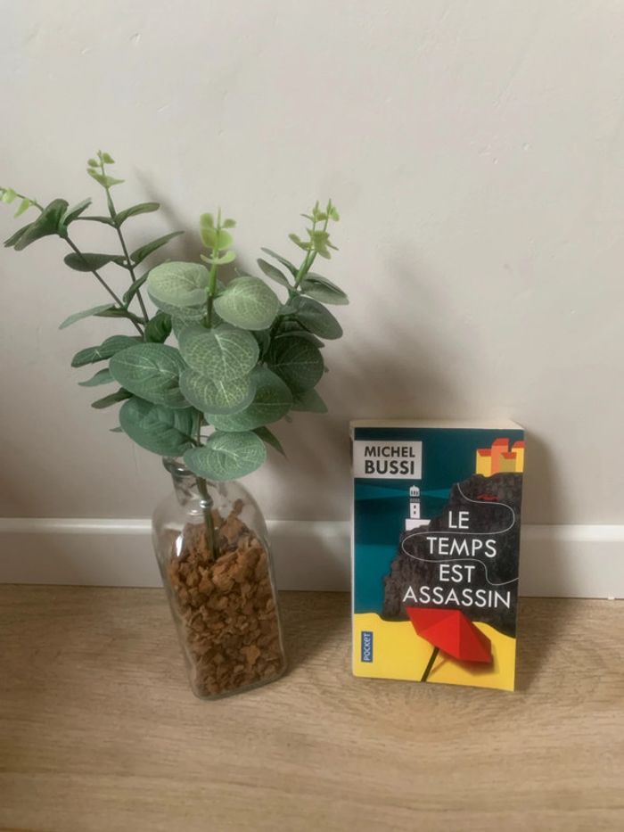 • Livre Bussi ~ Le temps est assassin •