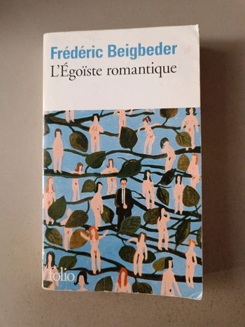 Frédéric beigbeder l'égoïste romantique