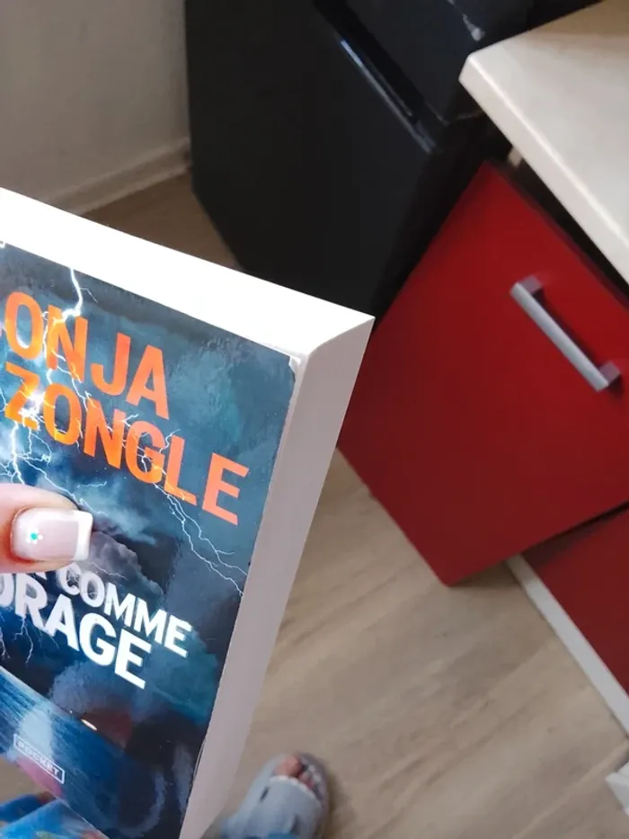 Livre de Sonja delzongle - photo numéro 5