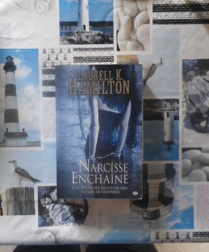 Anita Blake T10 Narcisse enchaîné de Laurell K. Hamilton