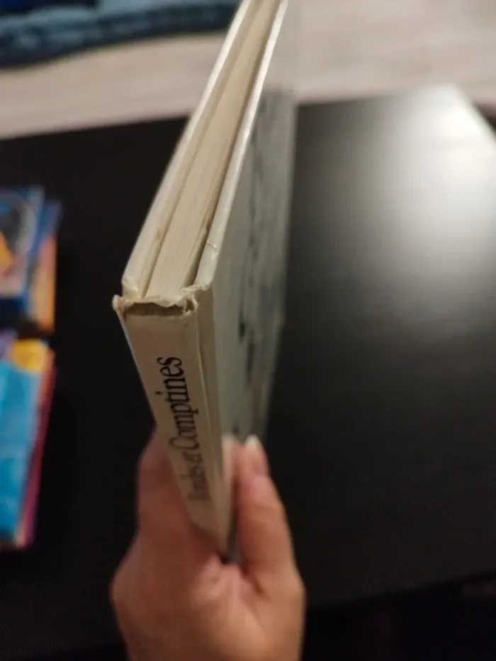 Livre rondes et comptines - photo numéro 9