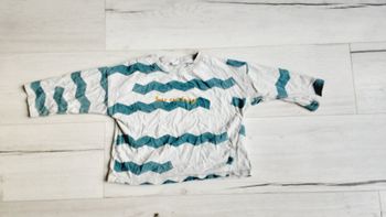 Vêtement garçon tee-shirt manches longues Zara 2 ans 24 mois