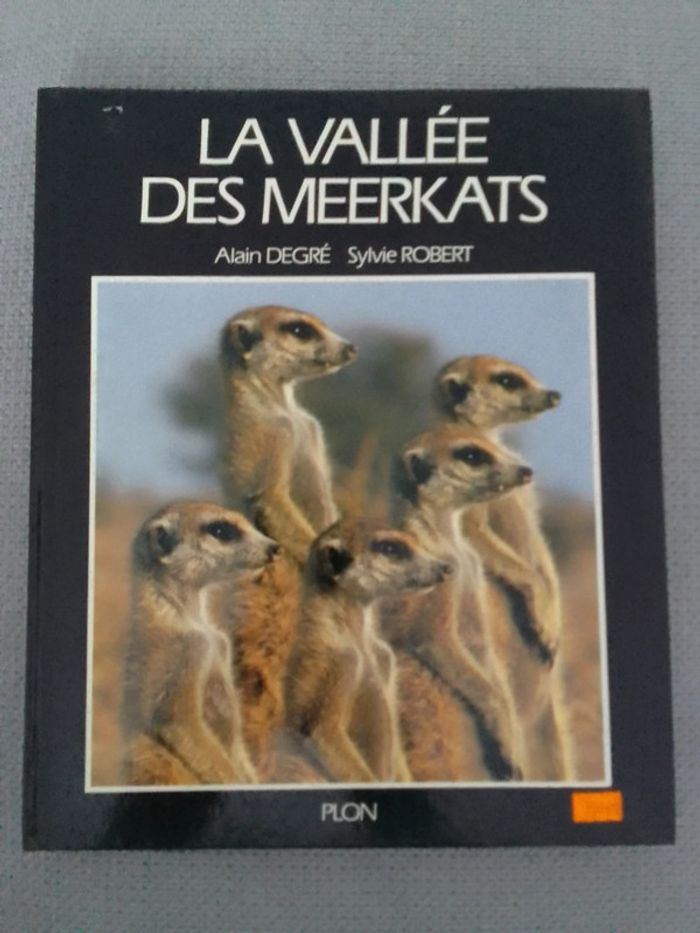 La vallée des Meerkats