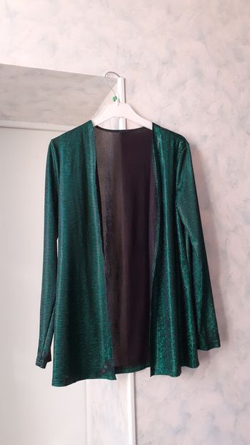 Veste femme taille 36-38