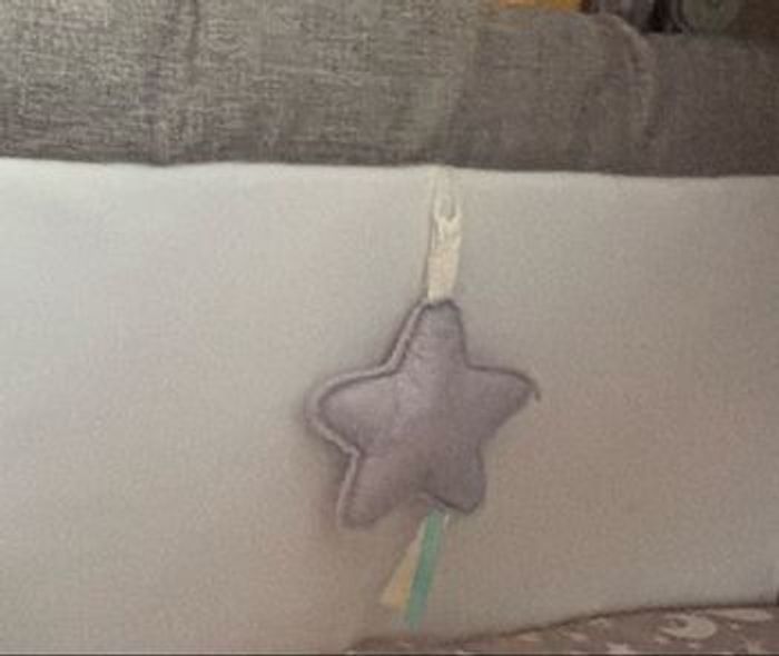 Cododo - photo numéro 5