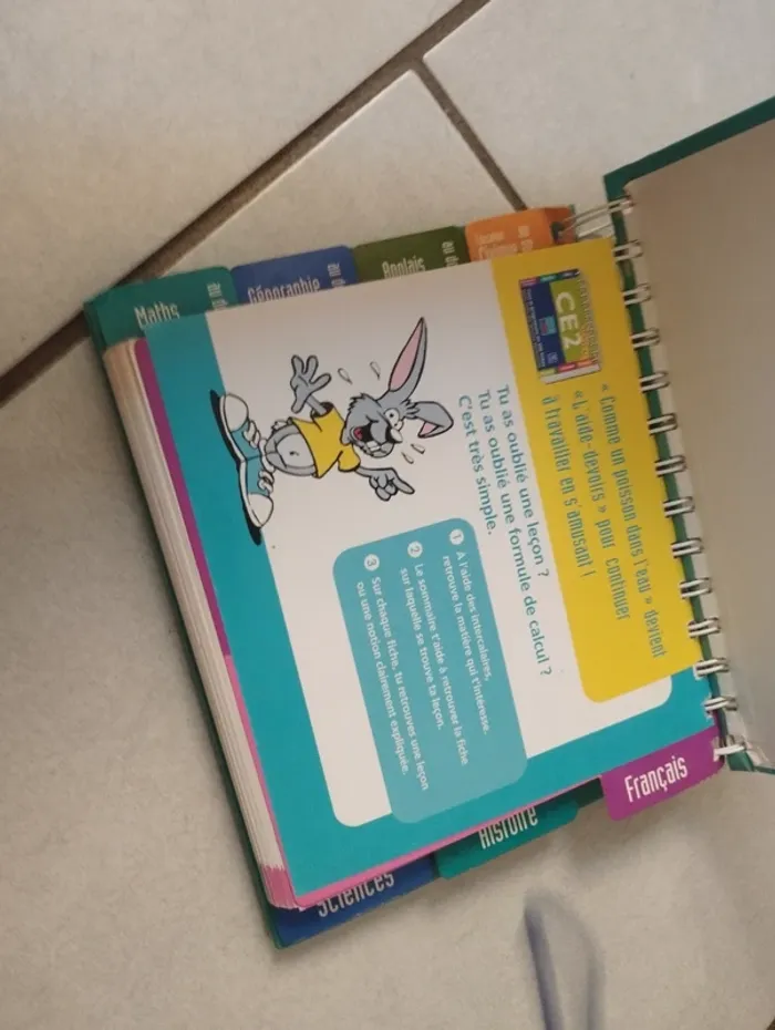 Fichier aide aux devoirs ce2 - photo numéro 2