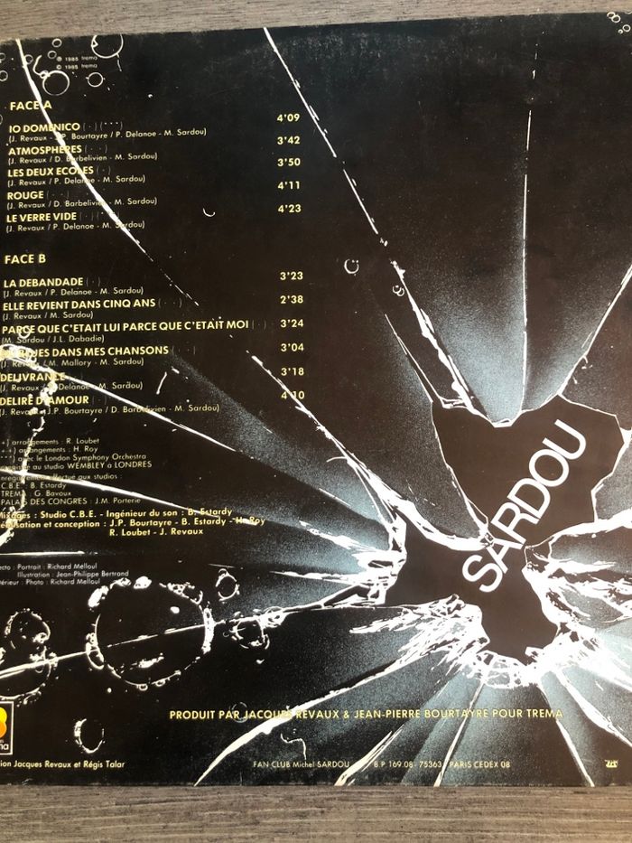 Vinyle 33t Michel Sardou - photo numéro 2