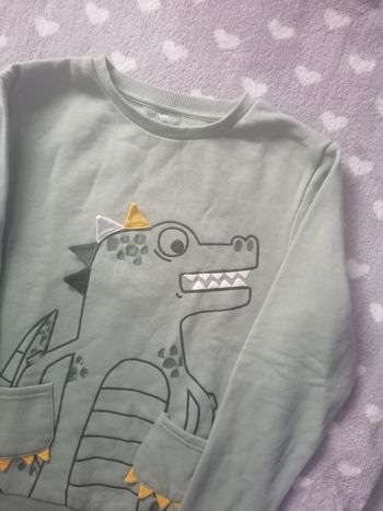 Pull sweat-shirt 🦖 mixte 12 ans
