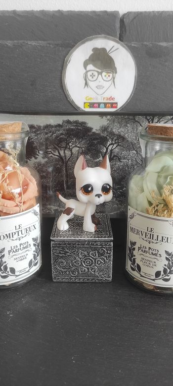 Littlest Petshop Pet Shop LPS Authentic Authentique dog Great Dane 750 Danois