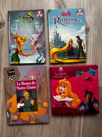 Lot livres Disney princesses