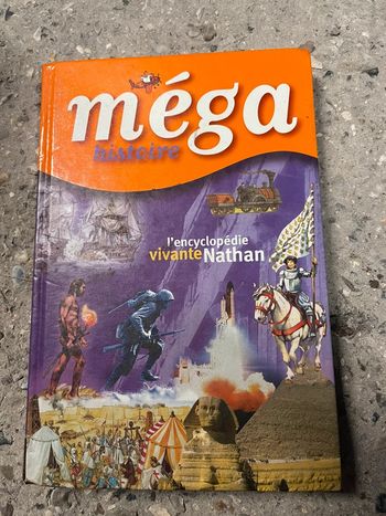 Livre jeunesse mega histoire