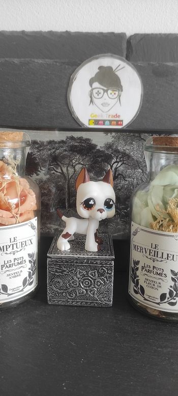 Littlest Petshop Pet Shop LPS Authentic Authentique dog Great Dane 577 Danois