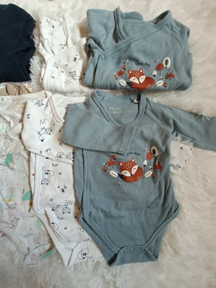 Lot de 17 bodys 3 mois - photo numéro 2