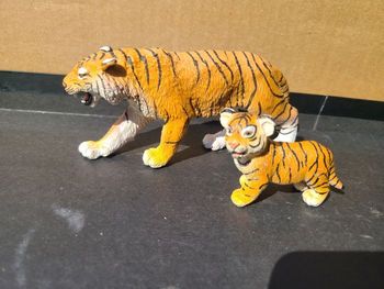 Animaux la maman et son bébé